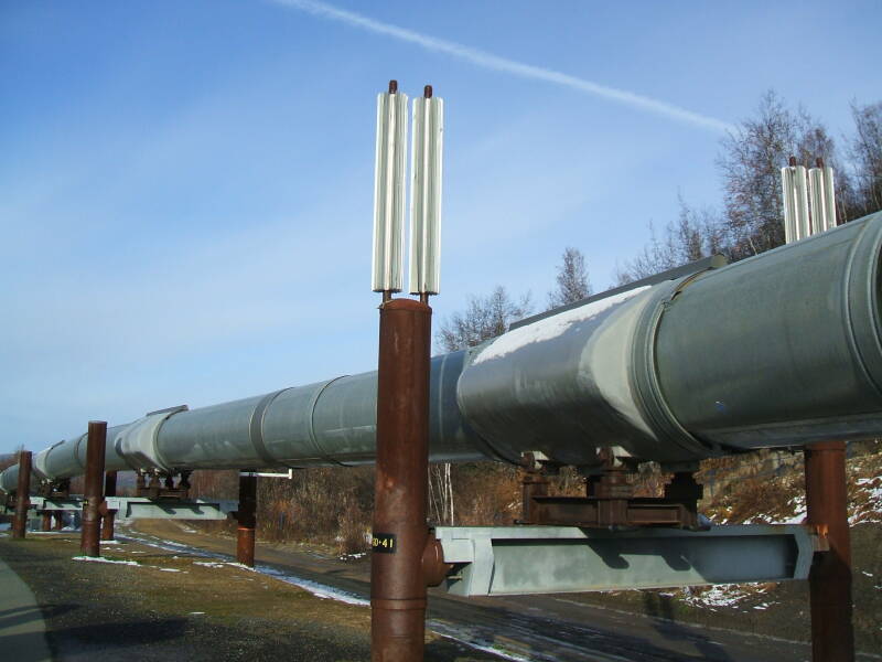 Alaska Pipeline just north of Fairbanks.
