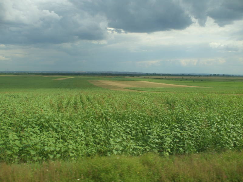 Romanian farmland north of Giurgiu.