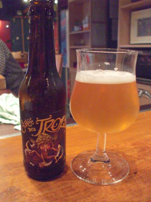 A Cuvée Des Trolls beer at the Hostel Jacques Brel in Brussels.