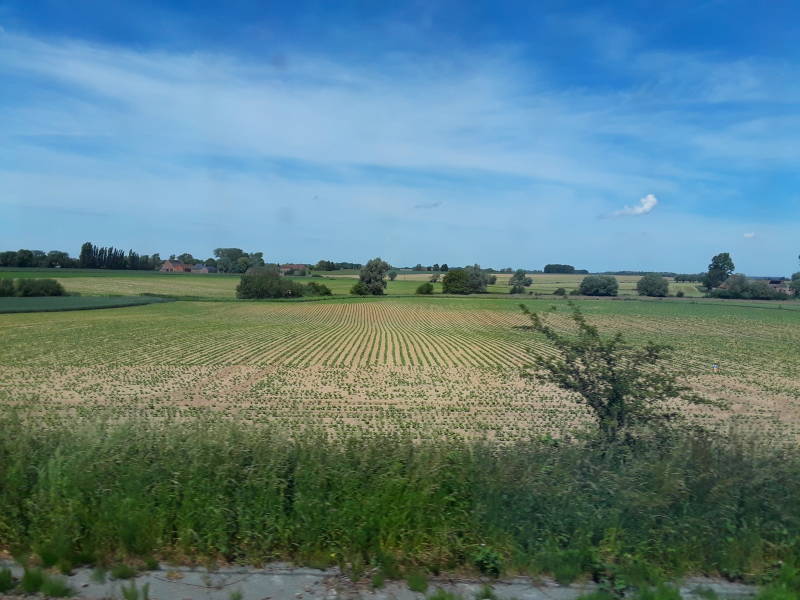 Farmland in Belgium between Brussels and Mons.