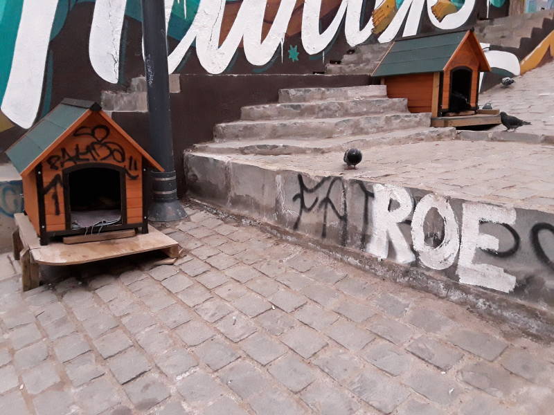 Public built dog houses for stray dogs along Calle Templeman in Valparaíso, Chile