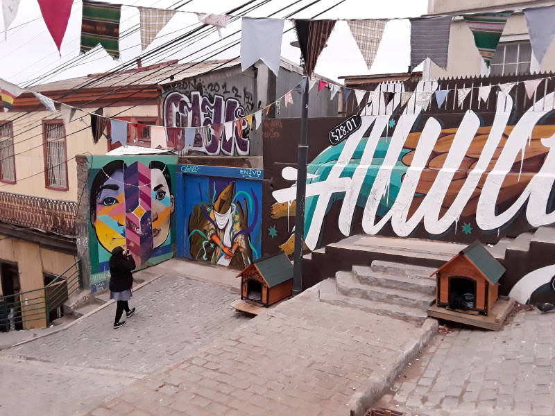 Public built dog houses for stray dogs along Calle Templeman in Valparaíso, Chile