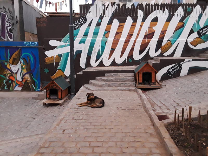 Public built dog houses for stray dogs along Calle Templeman in Valparaíso, Chile