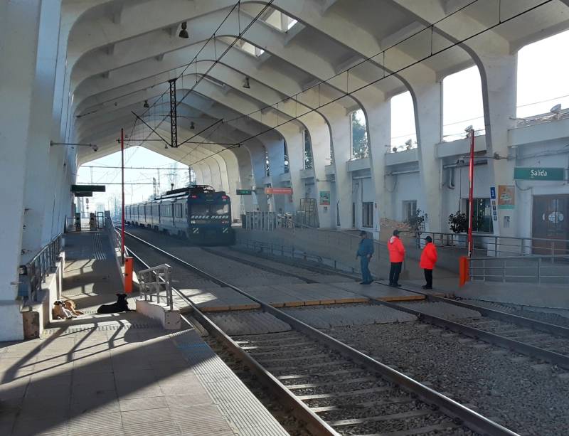 Dogs at the train station in Talca, Chile