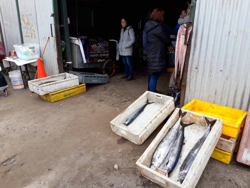 Market at Constitución