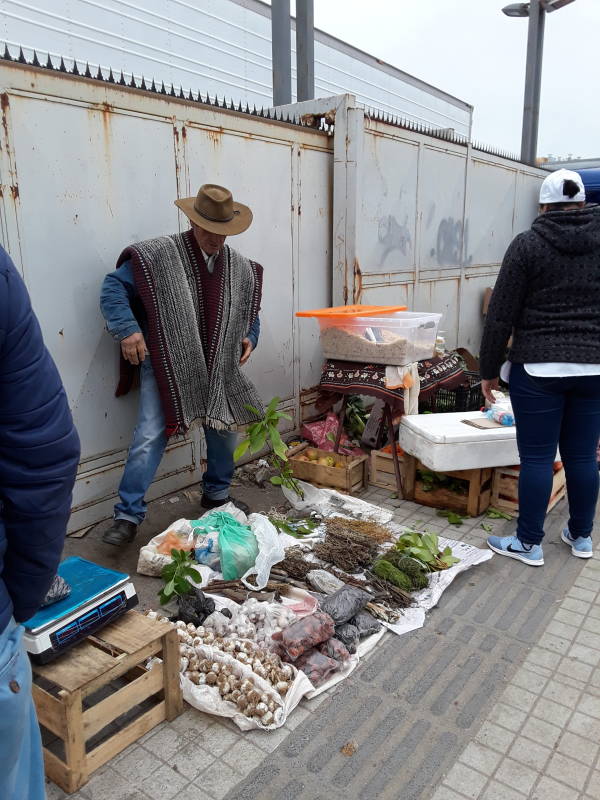 Market at Constitución