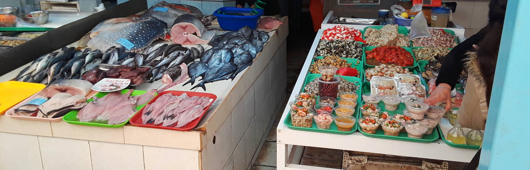 Seafood in the market at Coqimbo.