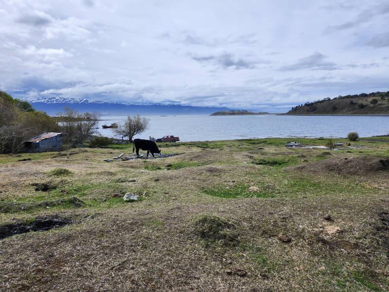 Looking from purported Puerto Eugenia across the Beagle Channel.
