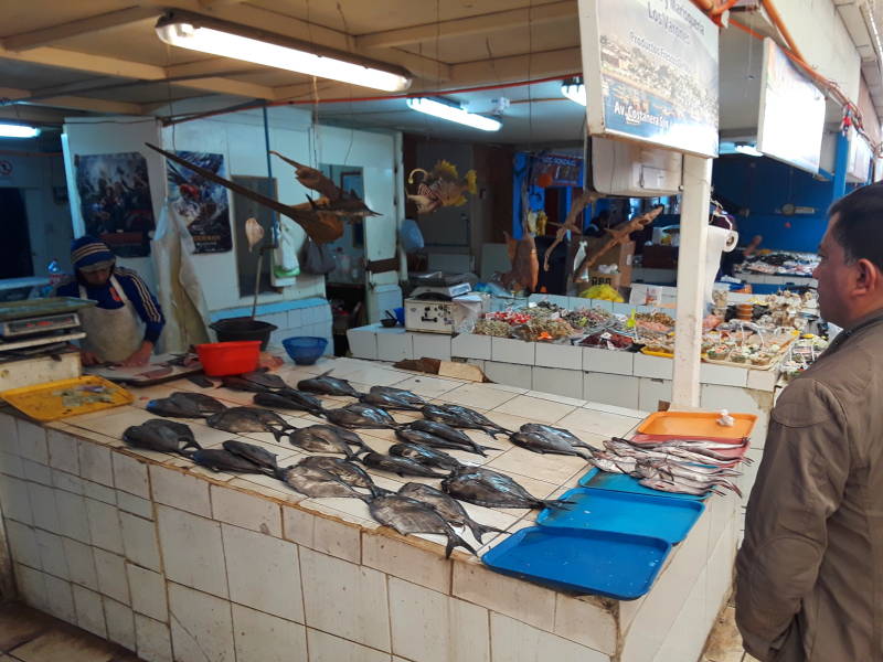 Fish market in Coquimbo.