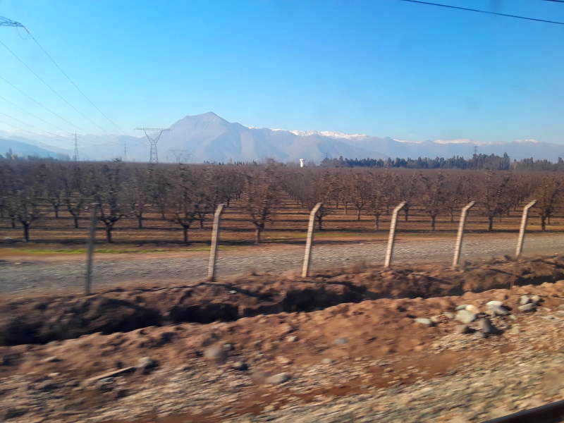 Vineyards and Andes mountains seen from Metrotrén from Santiago to Rancagua, Chile.