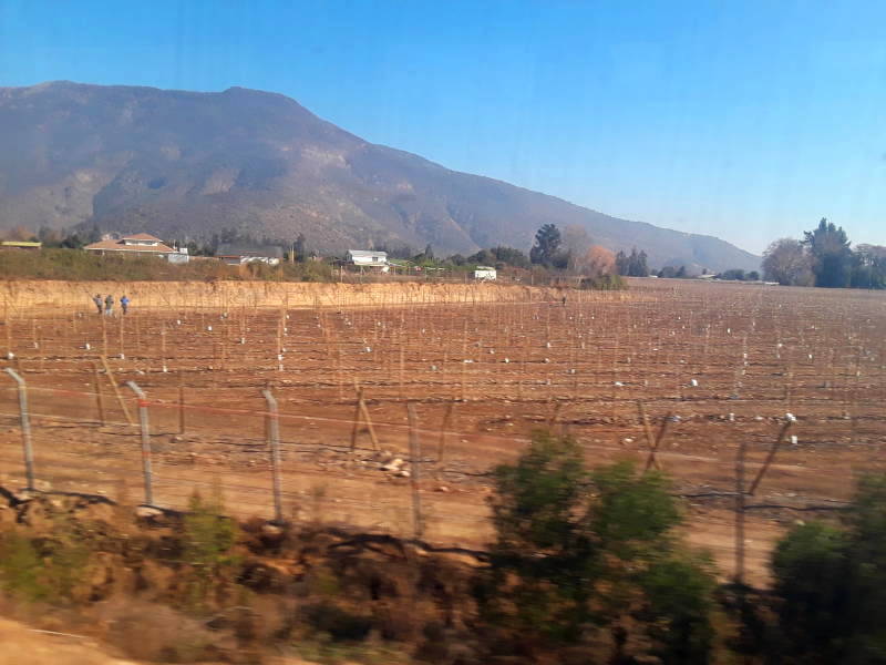 Vineyards and mountains seen from Metrotrén from Santiago to Rancagua, Chile.