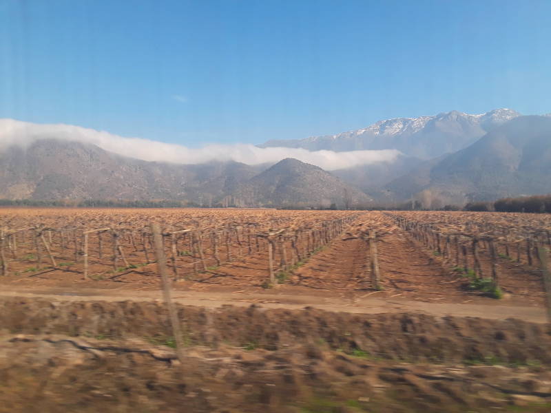 Vineyards and coastal mountains seen from Metrotrén from Santiago to Rancagua, Chile.