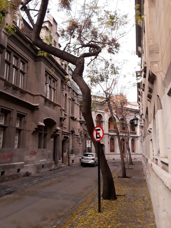 Barrio Brasil in Santiago.