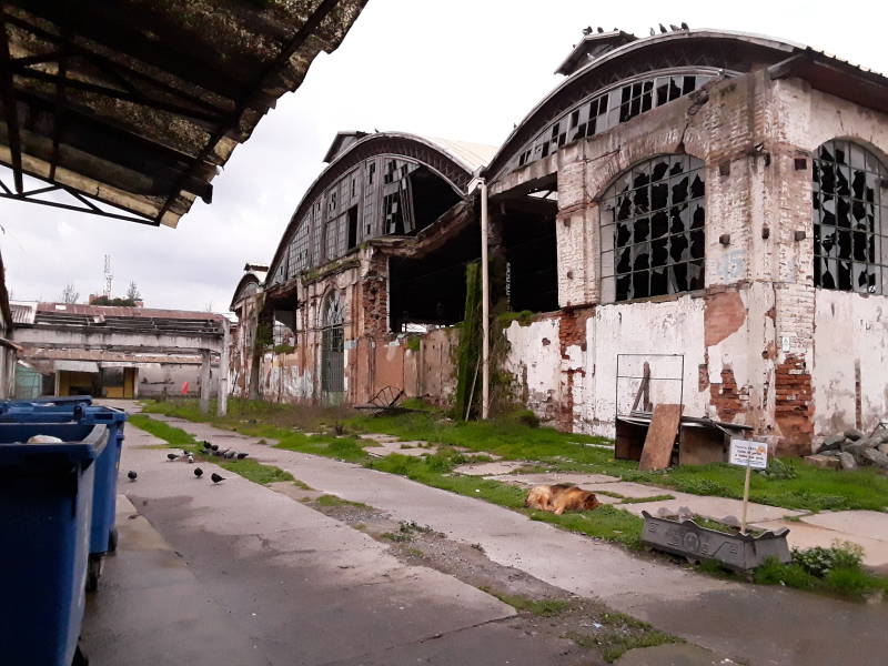 Earthquake-damaged central market in Talca, Chile.