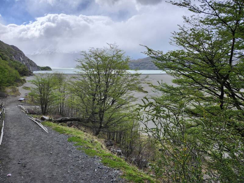 A path through the woods leaves the forest as it slopes down to a large gravel-covered area.