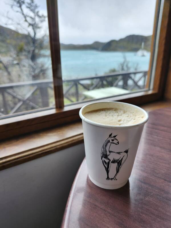 Coffee cup with a guanaco, lake faintly visible in the background.