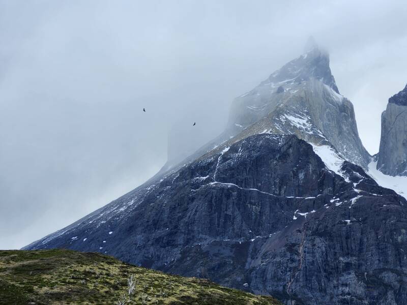 Condors soaring in updrafts around Cuernos del Paine.