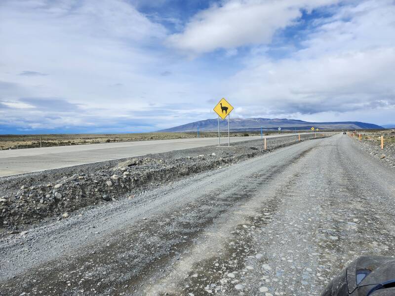 Sign warning of guanacos.