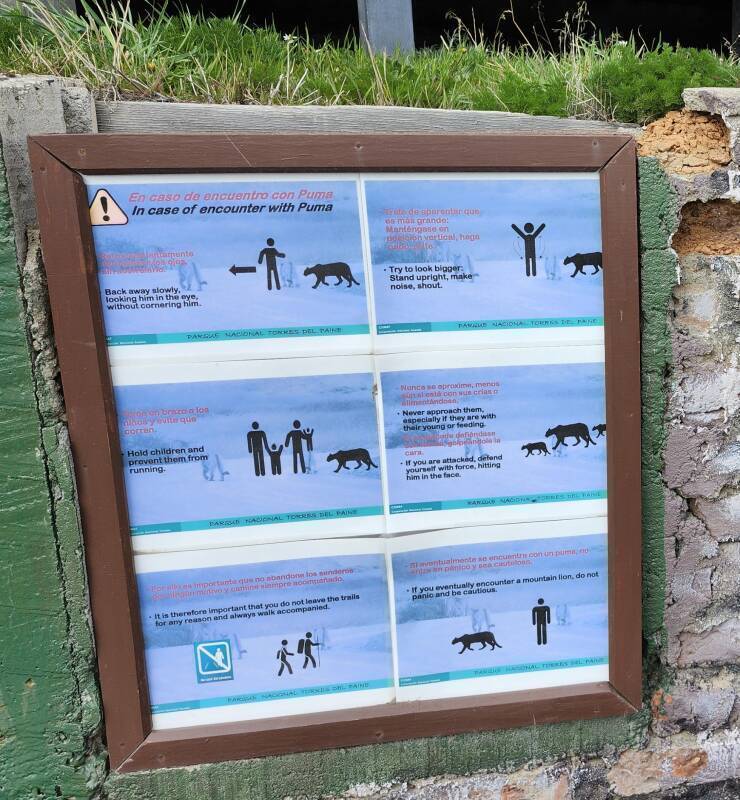 Sign with puma encounter recommendations at the ranger station.