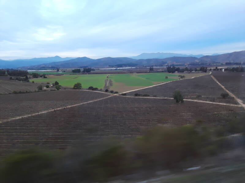 View of vineyards from the Pullman bus from Santiago for Valparaíso, Chile