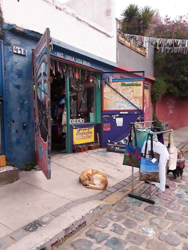 Dog sleeping in front of a shop in Cerro Alegre area in Valparaíso, Chile