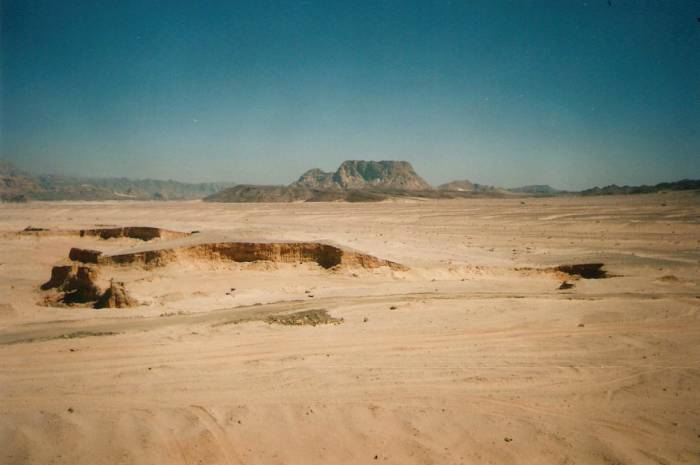 The Sinai Desert.