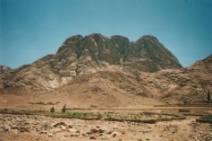 Mount Sinai.