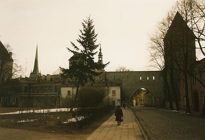 Old city wall and church towers as seen from the train station in Tallinn, Estonia.  Overcast day, bare tree limbs.