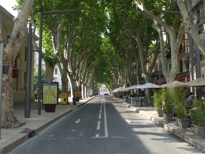 Street in Aix-en-Provence lined by plane trees.