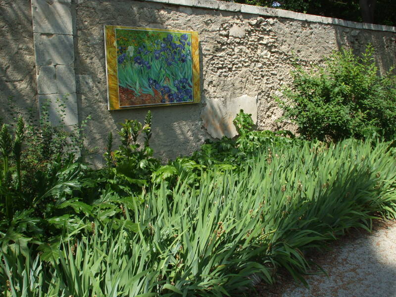 Irises painted by Vincent Van Gogh at the Maison de Santé St-Paul in St-Rémy-de-Provence.