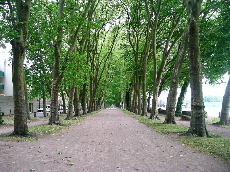 Promenade des Halles with plane trees in Decize.