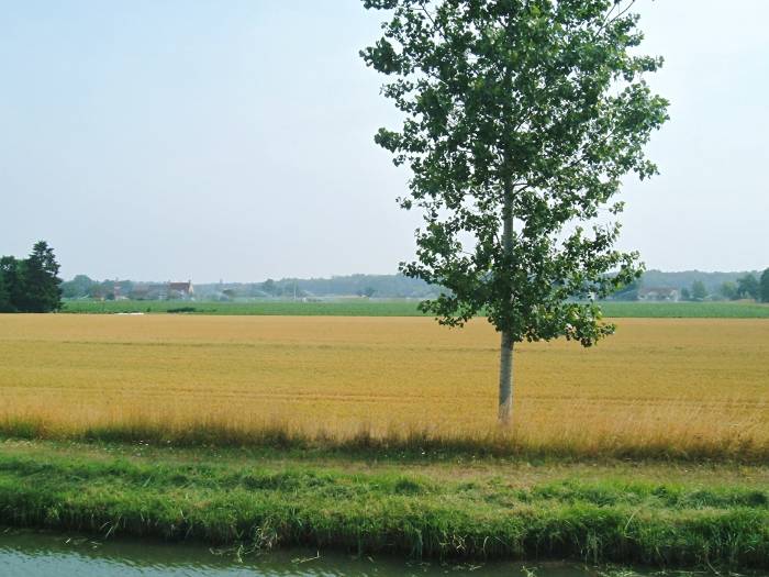 Farmland beside a canal in central France