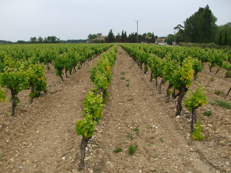 Canal du Midi between La Redorte and Trèbes.