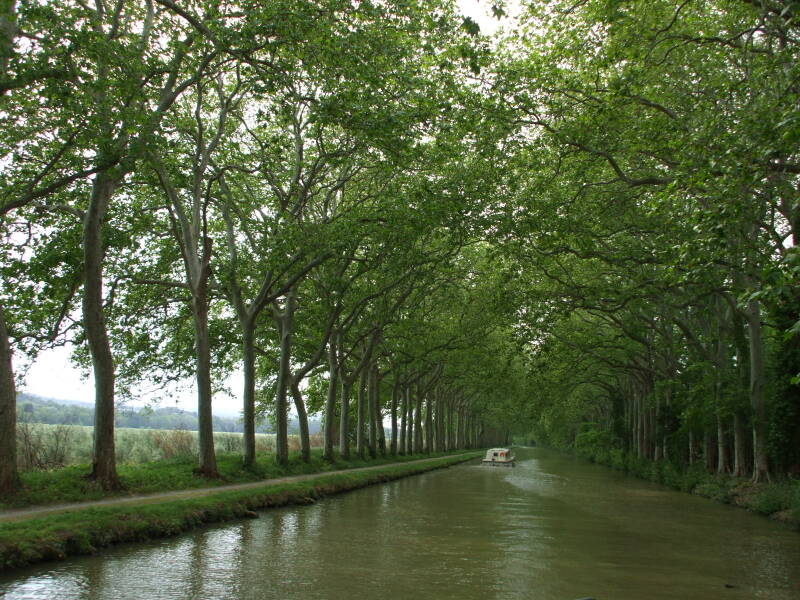 Canal du Midi between La Redorte and Trèbes.