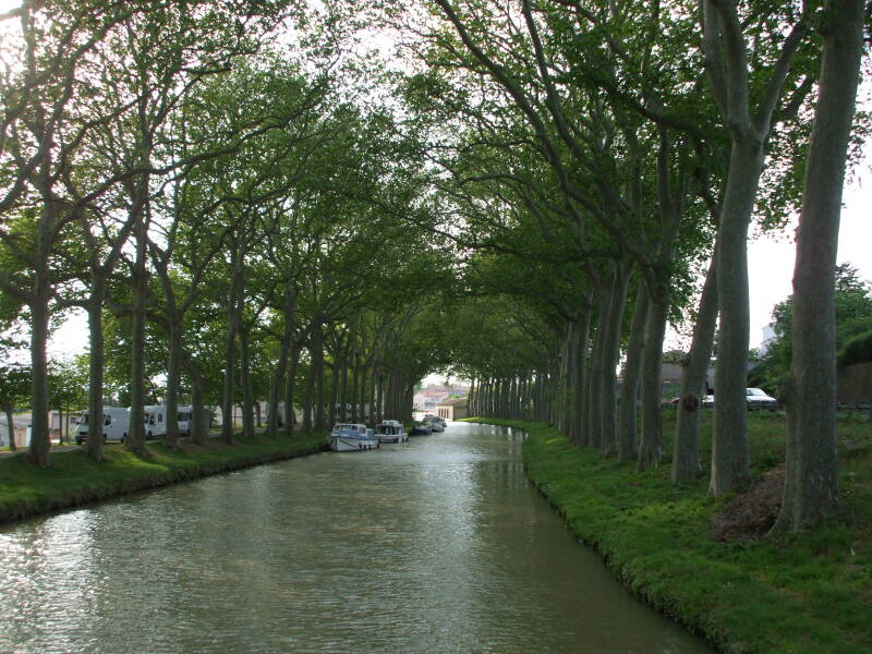 Canal du Midi between La Redorte and Trèbes.