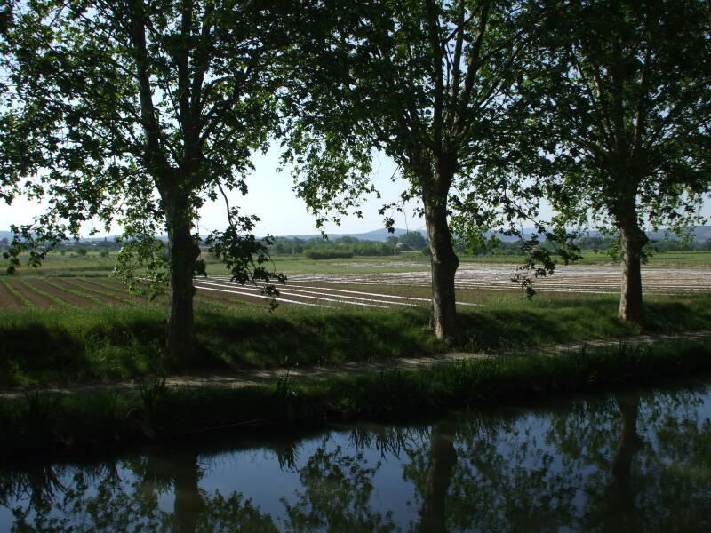 On the Canal du Midi between Le Somail and La Redorte.