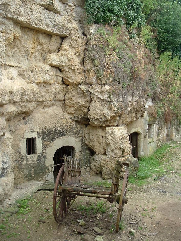 Old horse cart and wine cellars.