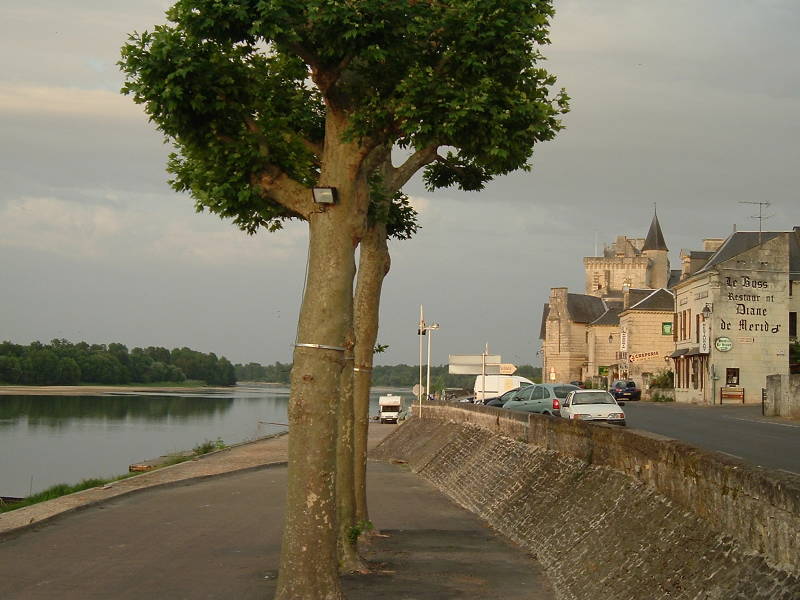 Château de Montsoreau along the Loire river in the evening.
