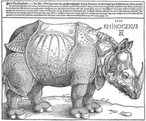 'Dürer's Rhinoceros', woodcut, 1515.