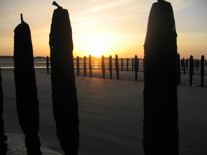 Sunset over the mussel poles on Utah Beach.  The tide is rising, there are extreme tides on the Normandy coast.