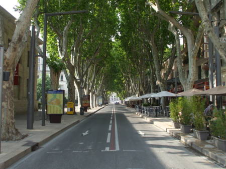 Tree-lined boulevard in Aix-en-Provence.