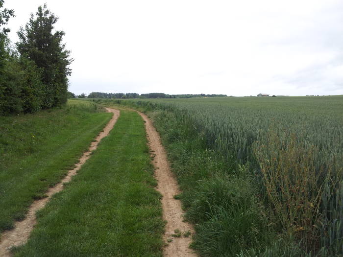 Road through a wheat field providing access to Pierre Tourneresse.