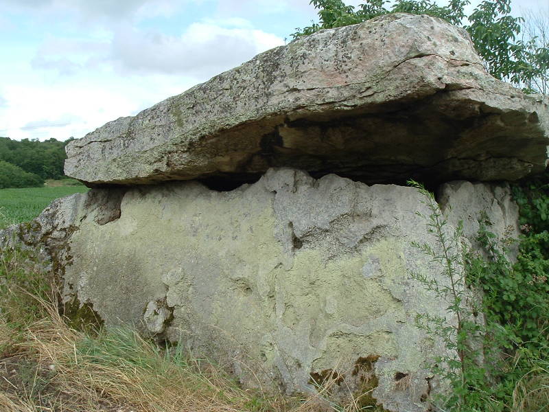 A second megalithic structure near Gennes, about 300 meters off a small road north of the D70 road, near the small village of Bouchet.