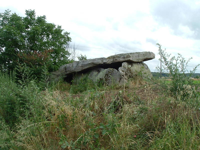 A second megalithic structure near Gennes, about 300 meters off a small road north of the D70 road, near the small village of Bouchet.