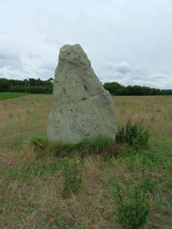 A third megalith near Gennes, on the south side of the D571 road leading east out of Gennes.