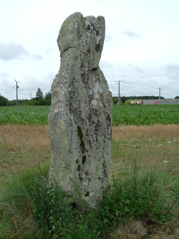 A third megalith near Gennes, on the south side of the D571 road leading east out of Gennes.