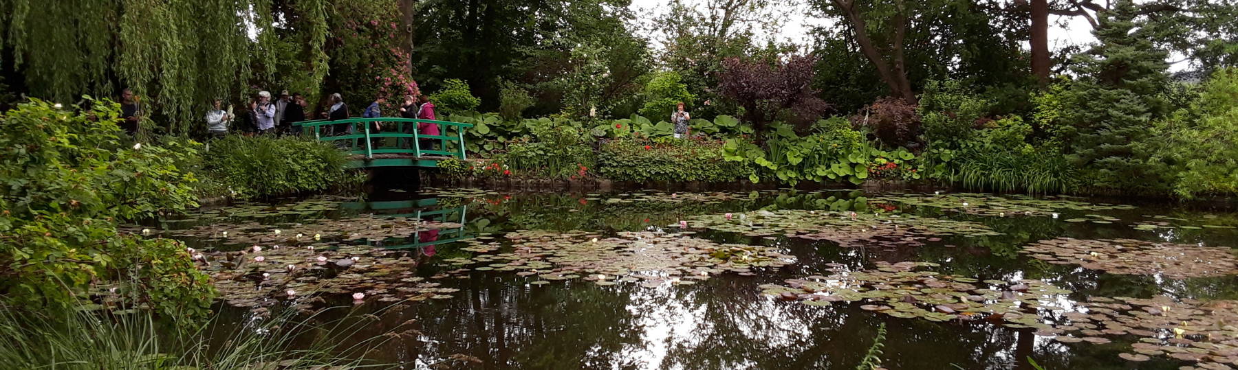 Claude Monet's water garden at Giverny.