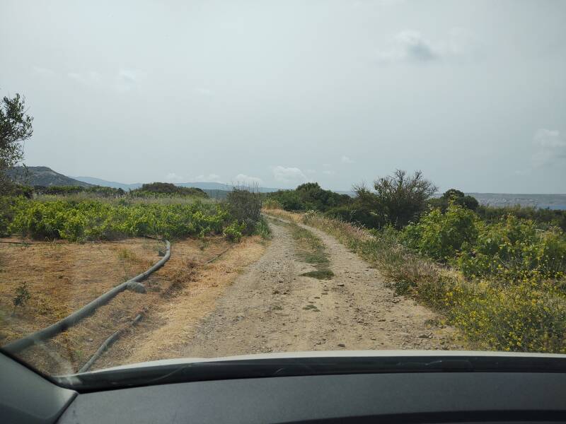 Driving between farm fields on a simple lane from the Minoan settlement and cemetery to the village of Agia Fotia.