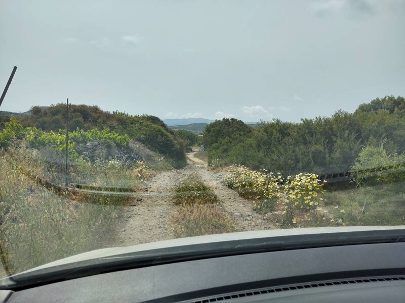 Driving between farm fields on a simple lane from the Minoan settlement and cemetery to the village of Agia Fotia.