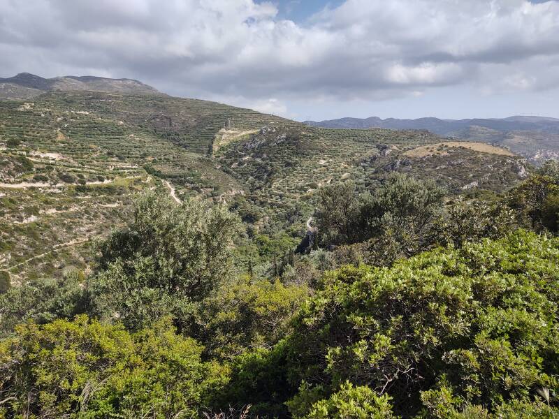 Eastern Crete, between Makry Gialos and Sitia.
